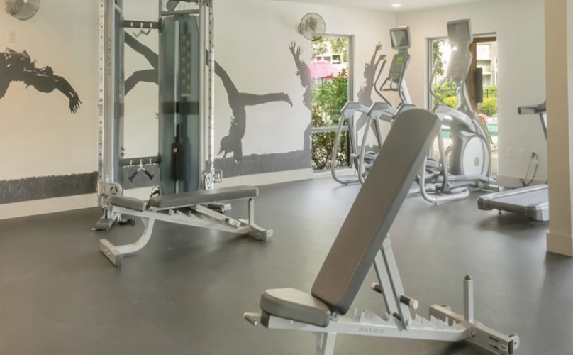 Fitness center with free weights, treadmills and ellipticals
